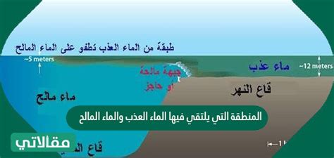 البيئة التي يلتقي فيها الماء العذب والماء تشكل بيئة بيئة من الكائنات الحية