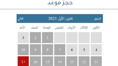 البيانات المراد تعبئتها في استمارة حجز موعد في السفارة السورية