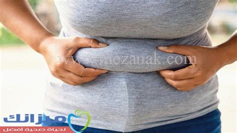 التغذية السريعة المفعول وصحة الكرش والأرداف