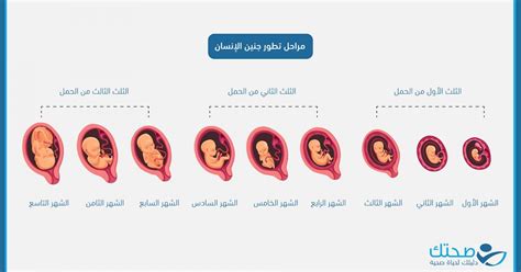 التغييرات التي تحدث في جسم المرأة في الأشهر الأخيرة من الحمل