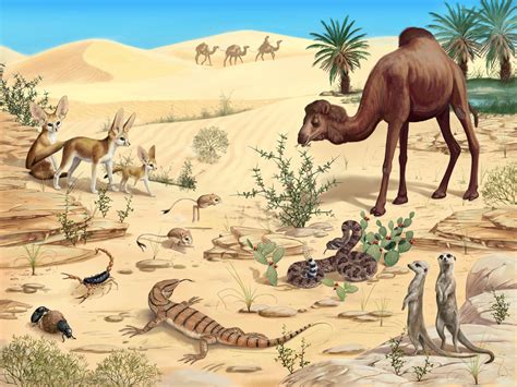 التكيف مع الحياة في جميع الأماكن التكيف مع الحياة في جميع الأماكن
