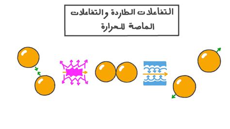 التمثيل الضوئي هو مثال على تفاعل طارد للحرارة للطاقة الحرارية.