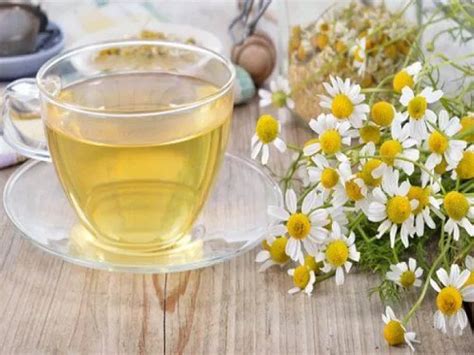 الجرعة المثالية للاستمتاع بمعظم فوائد شرب البابونج