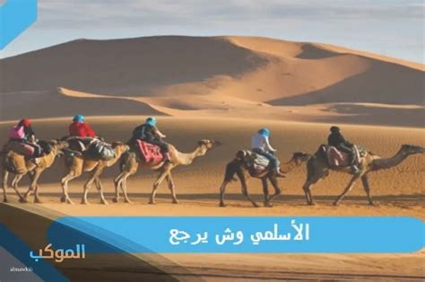 الجواب / أصل آل الربيعان يعود إلى قبيلة العتيبة حيث يقيمون في الحارق والقصيم وينحدرون من الثنيان في العتيبة.