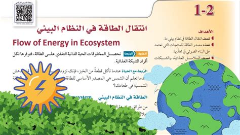 الجواب: تستمد كل الطاقة التي تستهلكها الكائنات الحية على الأرض وتأتي من الطاقة الشمسية.  اشرح ذلك