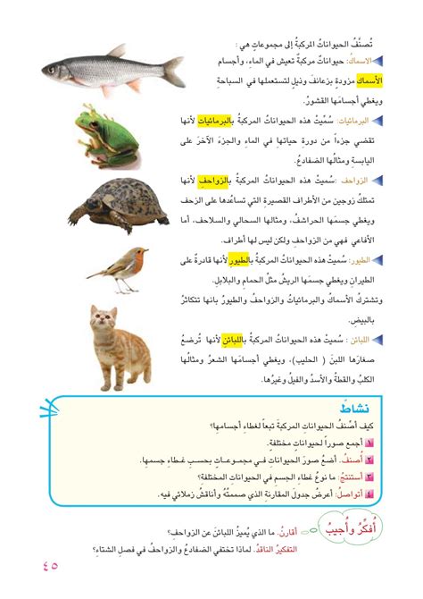 الجواب على السؤال: لماذا أسنان الأسماك والزواحف متشابهة؟