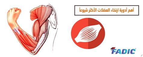 الجواب على سؤال الاسترخاء، كبسولات ارتخاء العضلات
