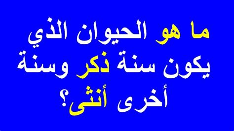 الجواب على سؤال من اللغز ما هو اسم الحيوان الذي له سنة ذكر وسنة أنثى