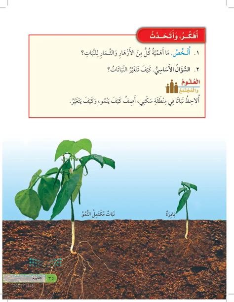 الجواب / لأنه موسم الراحة والسكينة، حيث تتفتح الأزهار وتنمو النباتات ورائحة الورود، والتي تتميز بمناخها الجميل، ودرجات الحرارة المعتدلة، والشمس الدافئة المشعة.