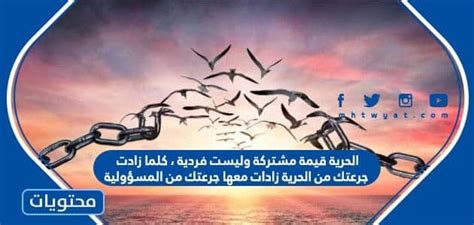 الحرية قيمة مشتركة، وليست قيمة فردية فكلما زادت جرعة الحرية لديك، زادت جرعتك من المسؤولية الحرية قيمة مشتركة، وليست قيمة فردية فكلما زادت جرعة الحرية لديك، زادت جرعتك من المسؤولية