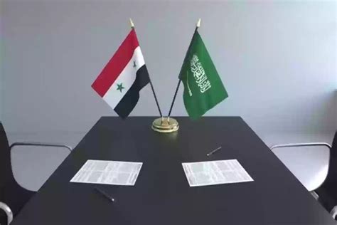الحقول التي يجب تعبئتها في النموذج الخاص بحجز موعد في السفارة السورية
