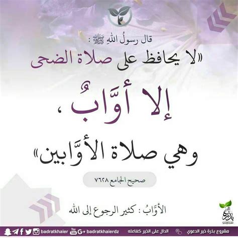 الحكمة من تأجيل صلاة المطر حتى تطلع الشمس على ارتفاع رمح