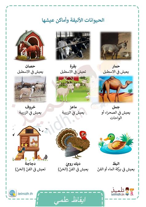 الحيوانات الأليفة: يمكن العيش مع الناس في أي مكان لا يضر أو يؤذيه، ويمكنهم العيش مع أشخاص في المنزل مثل القطط والحمام والأرانب وغيرها، وتعتبر من هذه الحيوانات مصدر دخل، سبل العيش والتعليم مثل الأغنام والأبقار الحيوانات الأليفة: يمكن العيش مع الناس في أي مكان لا يضر أو يؤذيه، ويمكنهم العيش مع أشخاص في المنزل مثل القطط والحمام والأرانب وغيرها، وتعتبر من هذه الحيوانات مصدر دخل، سبل العيش والتعليم مثل الأغنام والأبقار