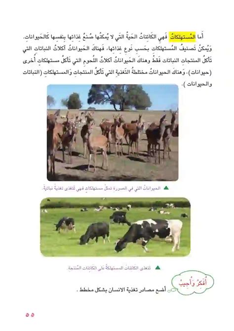 الحيوانات ليست بالضرورة ذاتية التغذية.  خطأ - منصة العلوم