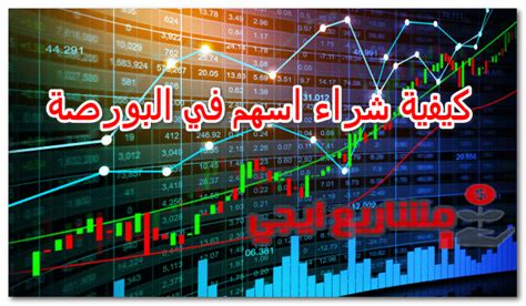 الخطوات الواجب اتباعها قبل البدء في شراء الأسهم في البورصة المصرية