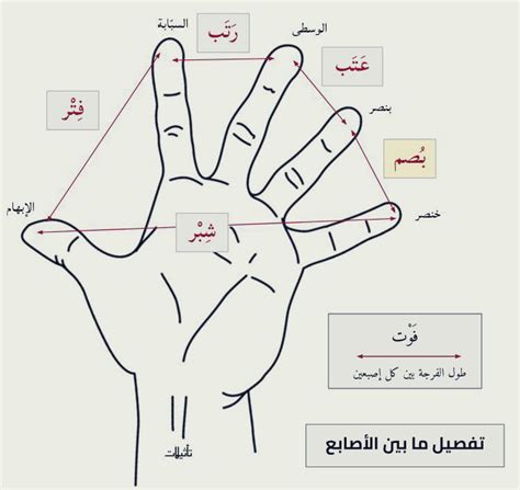 الخطوة 2: أمسك العصا الثانية بإصبعك السبابة والإبهام الخطوة 2: أمسك العصا الثانية بإصبعك السبابة والإبهام