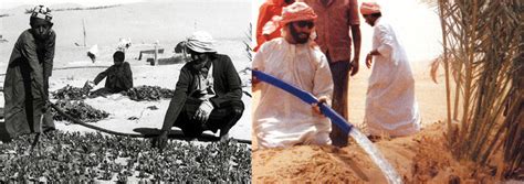 الزراعة في الإمارات القديمة