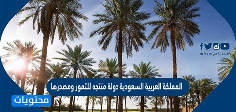 السعودية دولة منتجه للتمور ومصدرها وحققت بذلك الاكتفاء الذاتي لشعبها السعودية دولة منتجه للتمور ومصدرها وحققت بذلك الاكتفاء الذاتي لشعبها