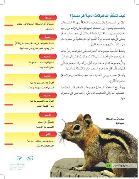 الطائفة أكبر من الانقسام. هل هذا البيان صحيح أم خطأ؟ اشرح اجابتي الطائفة أكبر من الانقسام. هل هذا البيان صحيح أم خطأ؟ اشرح اجابتي