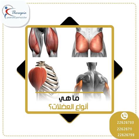 العضلات غير المخطط لها هي تلك التي لا يستطيع الشخص السيطرة عليها وهي لا إرادية وتقع في أجزاء مختلفة من الجسم.