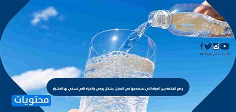 العلاقة بين المياه التي نستخدمها في المنزل كل يوم والمياه التي نستخدمها لسقي الأشجار