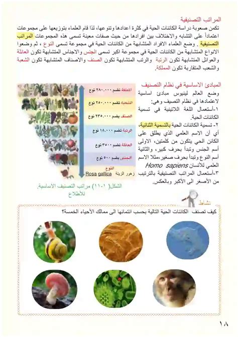 العلم الذي يتعامل مع دراسة الكائنات الحية وكيفية ارتباطها ببعضها البعض العلم الذي يتعامل مع دراسة الكائنات الحية وكيفية ارتباطها ببعضها البعض