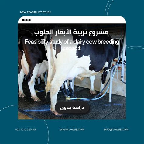 العوامل الرئيسية وراء نجاح مشروع تربية الأبقار الحلوب العوامل الرئيسية وراء نجاح مشروع تربية الأبقار الحلوب
