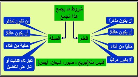 الفرق بين الجمع العاقل المذكر والمؤنث ولواحقهما