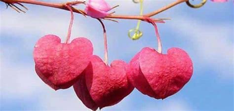 الفرق بين الرجل والمرأة في الحب من حيث التواصل مع الطرف الآخر