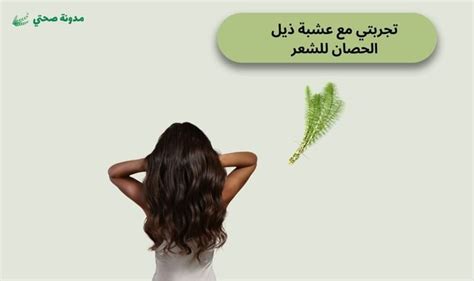 الفوائد الرئيسية لذيل الحصان للشعر