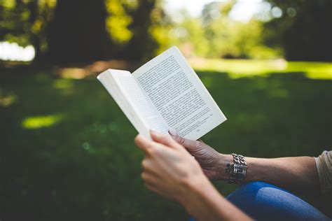 القراءة، والتي تجمع المعلومات الأساسية من سطور النص أثناء قراءتك