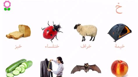 الكلمات التي تنتهي بحرف R و Jim