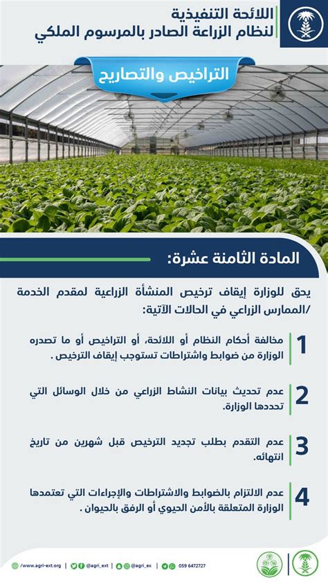 المادة الثامنة من اللائحة التنفيذية