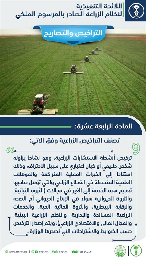 المادة الرابعة عشرة من اللائحة التنفيذية