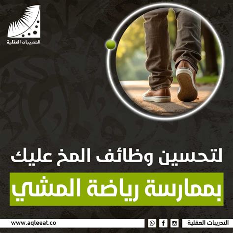 المركبات التي تعمل على تحسين وظائف المخ وتطور القدرات العقلية المركبات التي تعمل على تحسين وظائف المخ وتطور القدرات العقلية