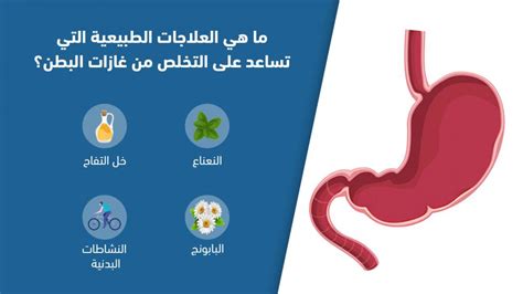 المشروبات الساخنة والأعشاب الطبيعية التي تساعد في التخلص من غازات المعدة والقولون