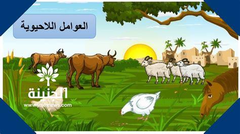 المفهوم الذي يصف المجموعات الحيوية التي تعيش معًا في منطقة معينة هو