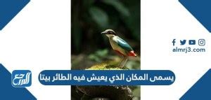 المكان الذي يعيش فيه الطائر يسمى المنزل