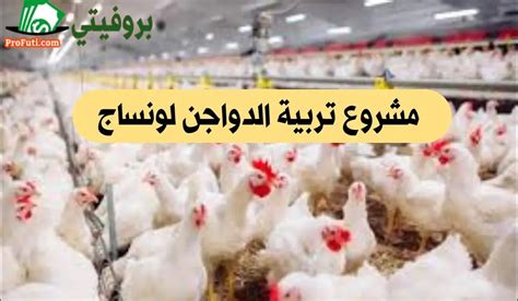 المكان المناسب لإقامة مشروع بلدي لتربية الدواجن