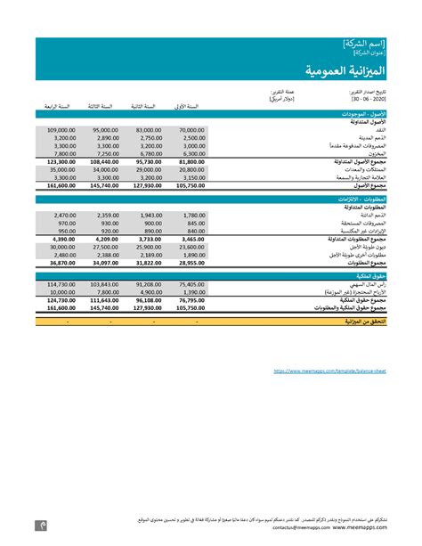 الموضوع في مراجع الميزانية العمومية