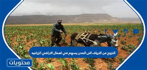 النزوح من الريف إلى المدن يساهم في إهمال الأراضي الزراعية، صح أم خطأ؟