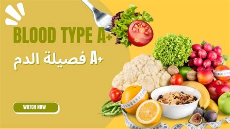 النظام الغذائي للأشخاص ذوي فصيلة الدم AB النظام الغذائي للأشخاص ذوي فصيلة الدم AB