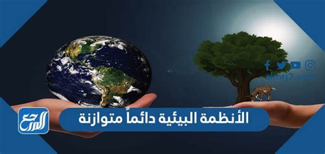 النظم البيئية دائمًا ما تكون متوازنة، صحيحة أو خاطئة النظم البيئية دائمًا ما تكون متوازنة، صحيحة أو خاطئة