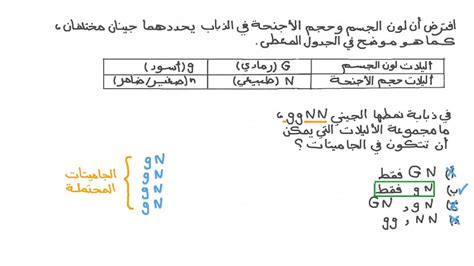 النمط الجيني هو الشرح طريقة التي يظهر بها الفرد ويتصرف بناءً على نمطه الظاهري.
