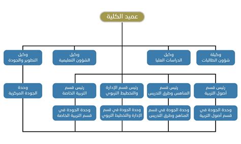 الهيكل التنظيمي للتعليم عن بعد بجامعة الإمام محمد بن سعود الإسلامية