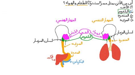 الهيكل الذي ينظم مرور الطعام والهواء هو