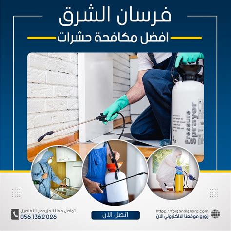 باستخدام أحدث الأساليب في شركة مكافحة حشرات بالمدينة المنورة