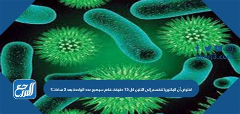بافتراض أن البكتيريا تنقسم إلى جزأين كل 15 دقيقة، فكم سيكون هناك بعد 3 ساعات؟ بافتراض أن البكتيريا تنقسم إلى جزأين كل 15 دقيقة، فكم سيكون هناك بعد 3 ساعات؟