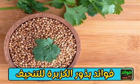 بذور الكزبرة لتسكين آلام الدورة الشهرية