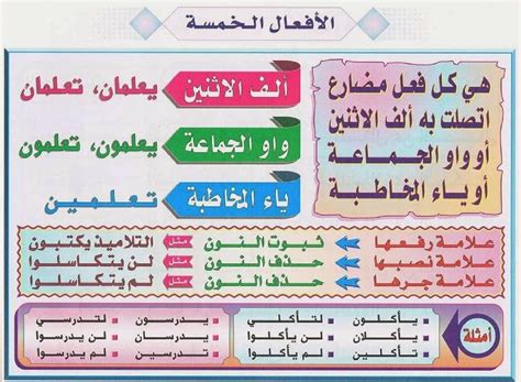 بعد دراسة الأفعال الخمسة، يكون تكملة الأفعال الخامسة هي العمل، والعمل، والعمل، والعمل